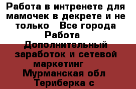 Работа в интренете для мамочек в декрете и не только - Все города Работа » Дополнительный заработок и сетевой маркетинг   . Мурманская обл.,Териберка с.